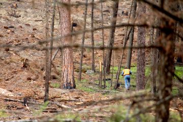 Local Wildfire Risk Q&A with David Scott – July 19, 2019