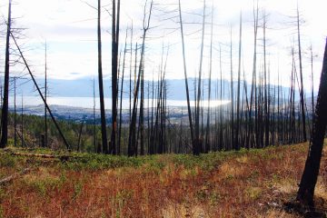 A Community Water Forum on Forests, Water and People: The Restoration Imperative