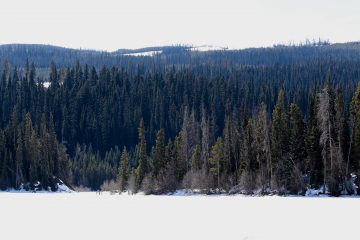 Watershed Ecosystem Science Cluster Announced